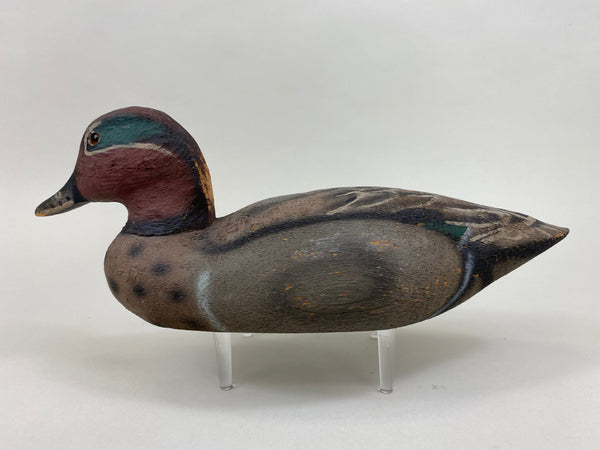 Herters 1893 Series Green Wing Teal (#4243)