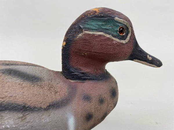 Herters 1893 Series Green Wing Teal (#4243)