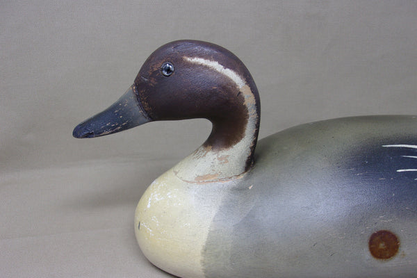 Wildfowler Pintail Drake, Old Saybrook, Rare Pine (#4248)
