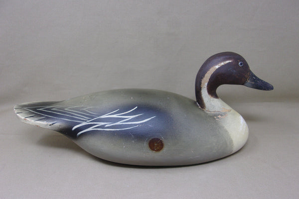 Wildfowler Pintail Drake, Old Saybrook, Rare Pine (#4248)