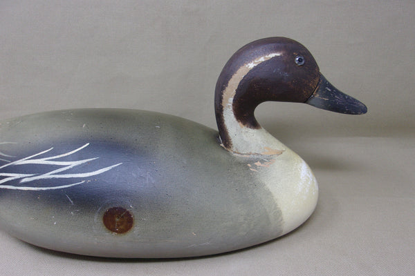 Wildfowler Pintail Drake, Old Saybrook, Rare Pine (#4248)