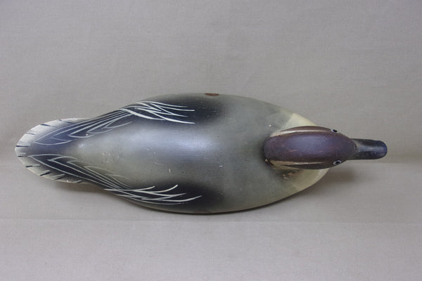 Wildfowler Pintail Drake, Old Saybrook, Rare Pine (#4248)