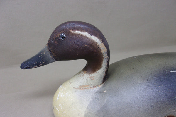 Wildfowler Pintail Drake, Old Saybrook, Rare Pine (#4248)