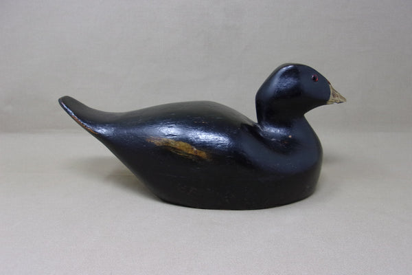 Kirkowski Working Coot, Original Paint (#4250)