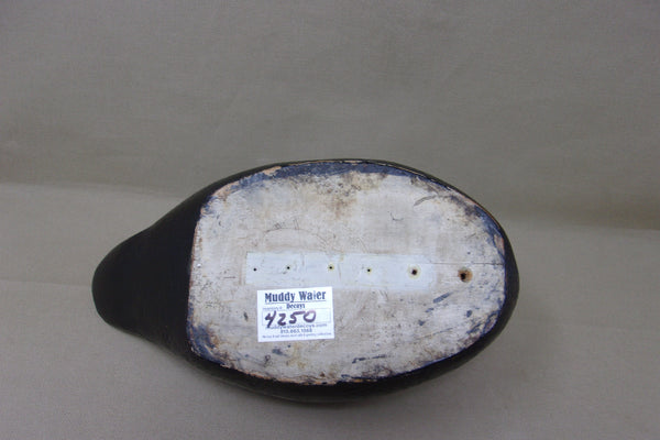 Kirkowski Working Coot, Original Paint (#4250)