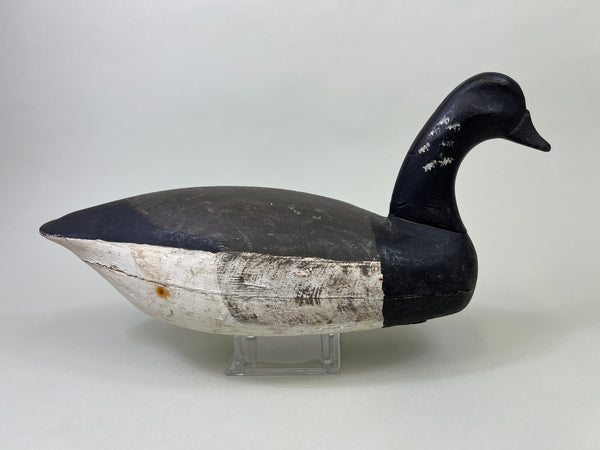 Dipper Ortley Brant, Circa 1950's (#3029)