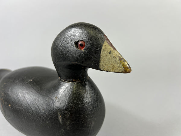 Pratt Factory Coot (#8028)