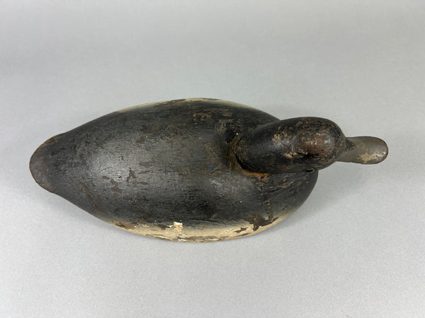 Quillen Style Bluebill (#3937)