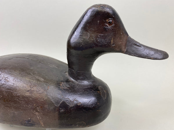 Chris Smith Canvasback Drake, Circa 1900 (#4440)