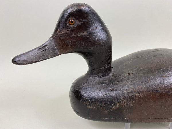 Chris Smith Canvasback Drake, Circa 1900 (#4440)