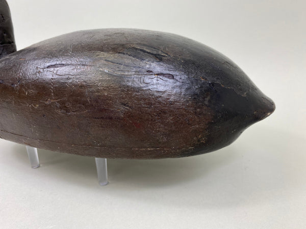 Chris Smith Canvasback Drake, Circa 1900 (#4440)