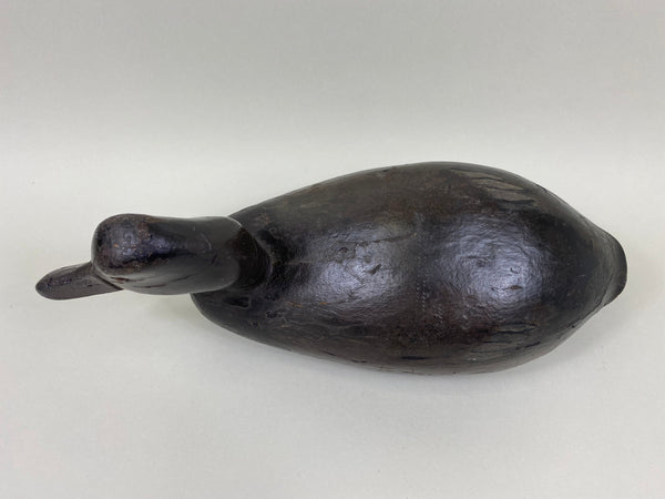 Chris Smith Canvasback Drake, Circa 1900 (#4440)