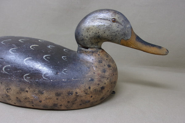 Mason Premier Mallard Hen (#4602)