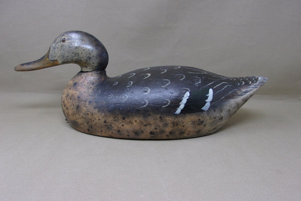 Mason Premier Mallard Hen (#4602)