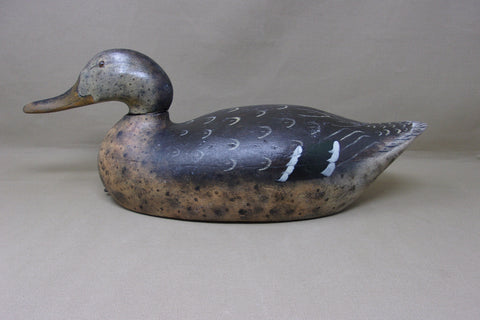 Mason Premier Mallard Hen (#4602)