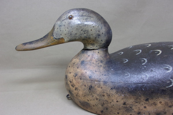 Mason Premier Mallard Hen (#4602)