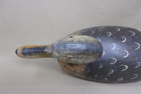 Mason Premier Mallard Hen (#4602)