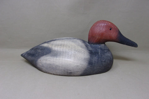 Herters 1893 Series Canvasback Drake (#4644)