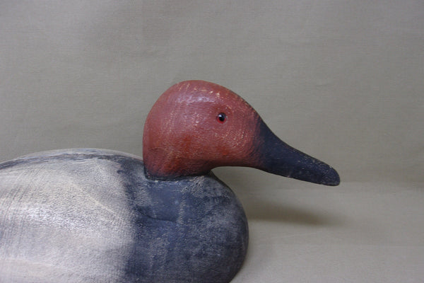 Herters 1893 Series Canvasback Drake (#4644)