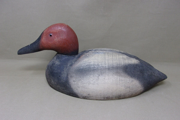 Herters 1893 Series Canvasback Drake (#4644)
