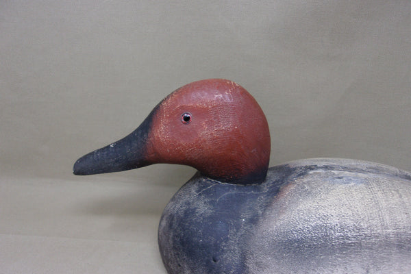 Herters 1893 Series Canvasback Drake (#4644)