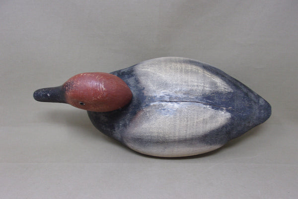 Herters 1893 Series Canvasback Drake (#4644)