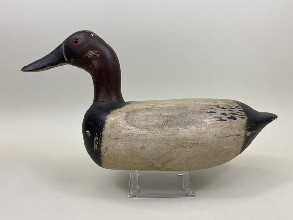 Jack Eppel Canvasback Drake, Joe French Collection (#4719)
