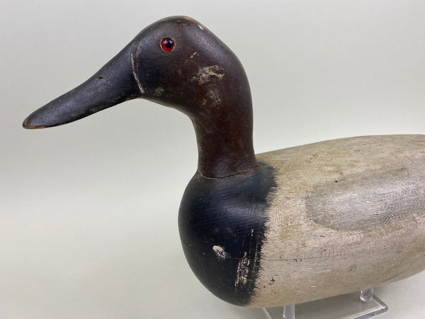 Jack Eppel Canvasback Drake, Joe French Collection (#4719)