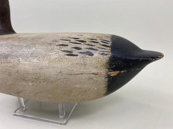 Jack Eppel Canvasback Drake, Joe French Collection (#4719)