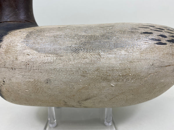 Jack Eppel Canvasback Drake, Joe French Collection (#4719)