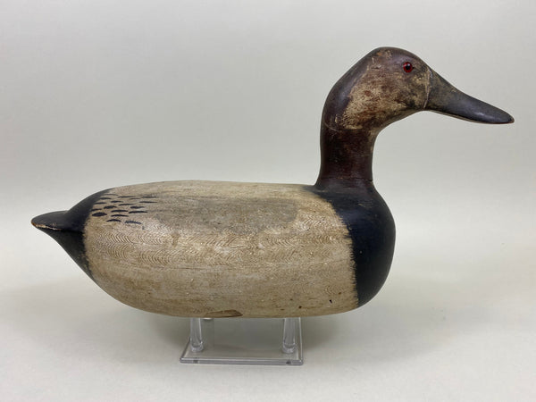 Jack Eppel Canvasback Drake, Joe French Collection (#4719)