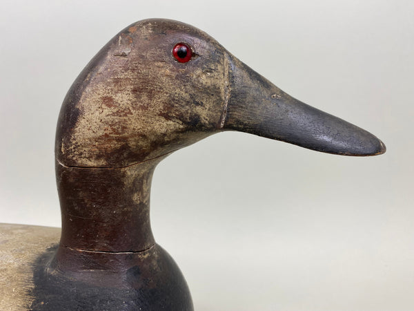 Jack Eppel Canvasback Drake, Joe French Collection (#4719)