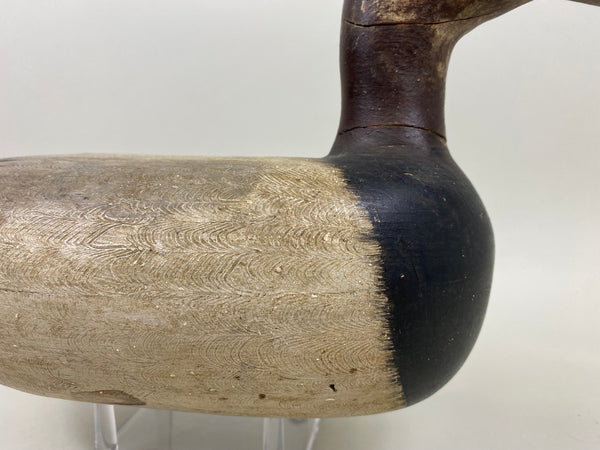 Jack Eppel Canvasback Drake, Joe French Collection (#4719)