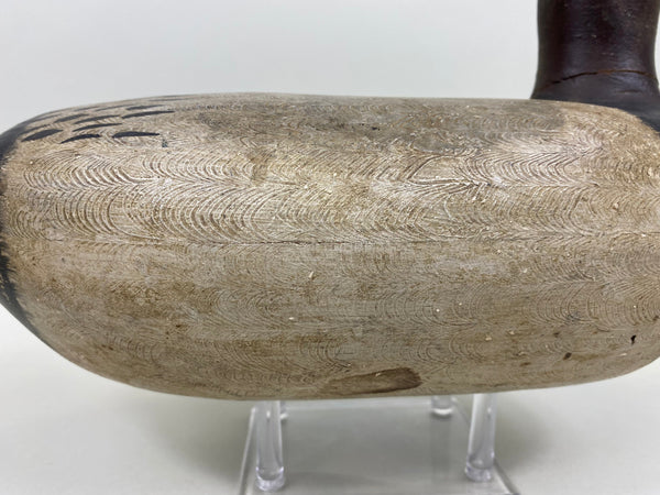 Jack Eppel Canvasback Drake, Joe French Collection (#4719)