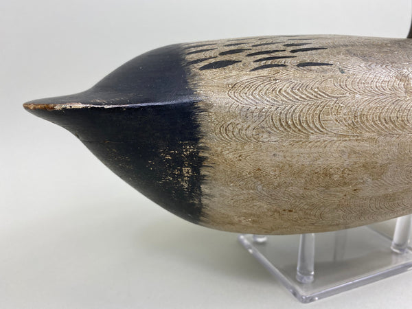 Jack Eppel Canvasback Drake, Joe French Collection (#4719)