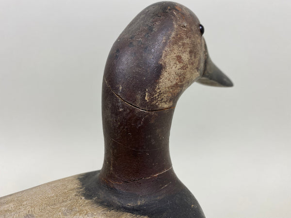 Jack Eppel Canvasback Drake, Joe French Collection (#4719)