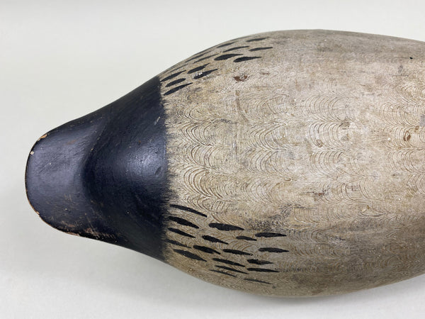 Jack Eppel Canvasback Drake, Joe French Collection (#4719)