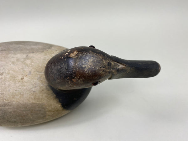 Jack Eppel Canvasback Drake, Joe French Collection (#4719)