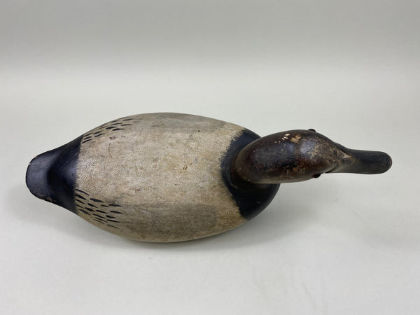 Jack Eppel Canvasback Drake, Joe French Collection (#4719)