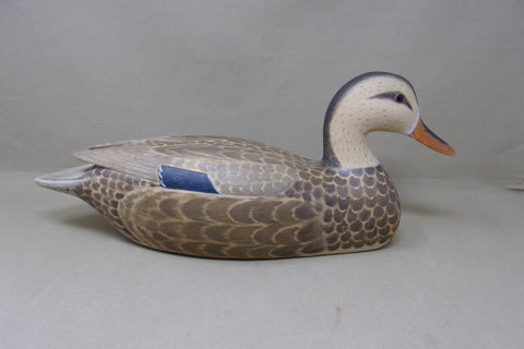 Fred Destri Mallard Hen (#4761)