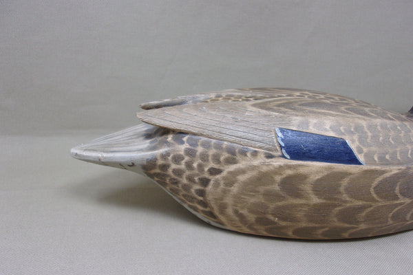 Fred Destri Mallard Hen (#4761)