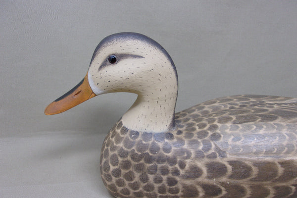 Fred Destri Mallard Hen (#4761)