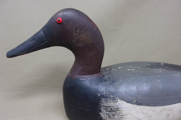 Andy Anderson Canvasback Drake- Vohree's Rig (#4793)