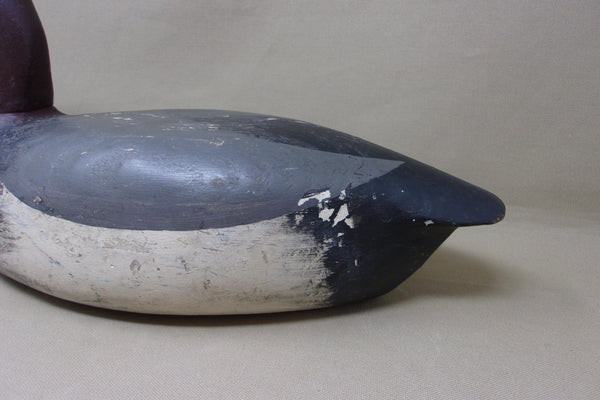 Andy Anderson Canvasback Drake- Vohree's Rig (#4793)