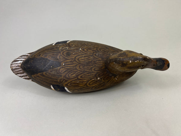 Henry Holmes Mallard Hen, Redshaw Repaint (#5029)