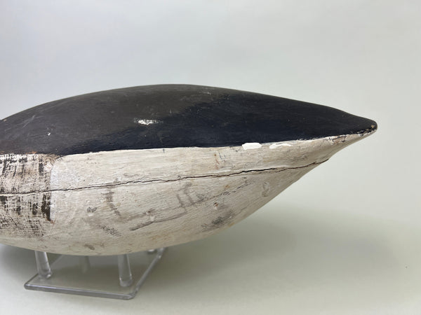 Dipper Ortley Brant, Circa 1950's (#3029)