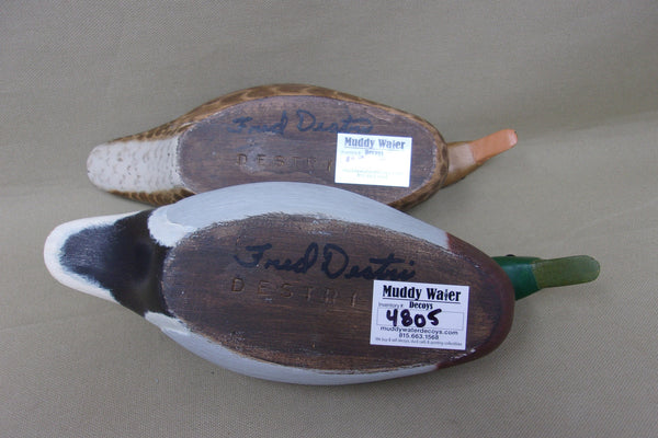 Fred Destri Third Size Mallards, Pair (#4805)