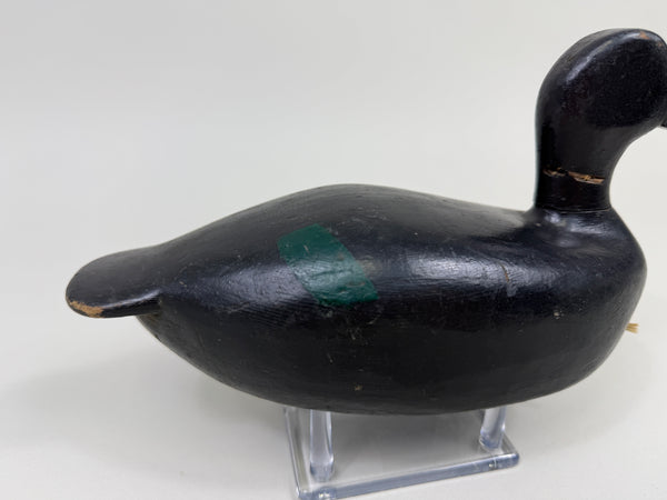 Michigan Area Blue-Wing Teal, Circa 1930's (#4410)