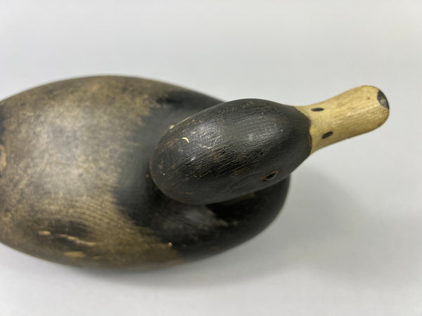 Keyes Chadwick Pair of Bluebills, Original Paint (#4847)