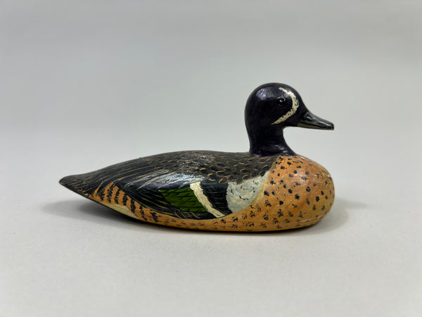 D. Ward Third Size Blue Wing Teal (#2367)